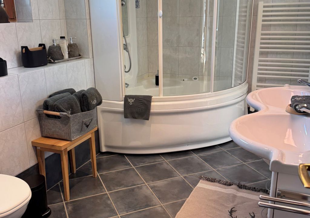 Photo of Bathroom in Engadin Scoul