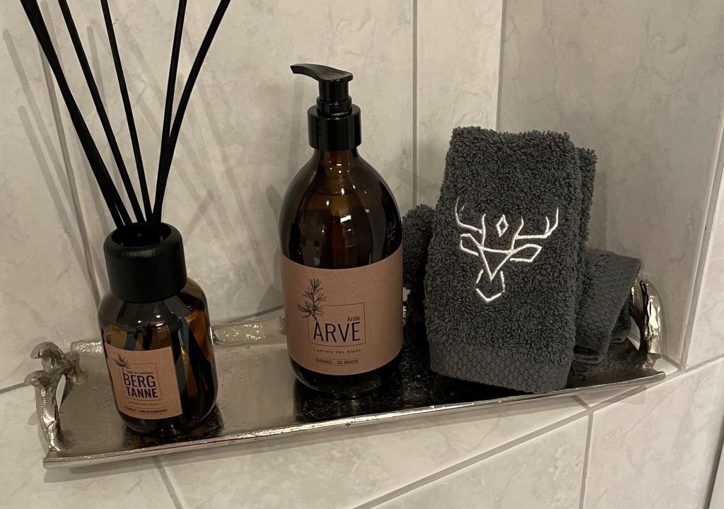 Photo of Bathroom in Engadin Scoul
