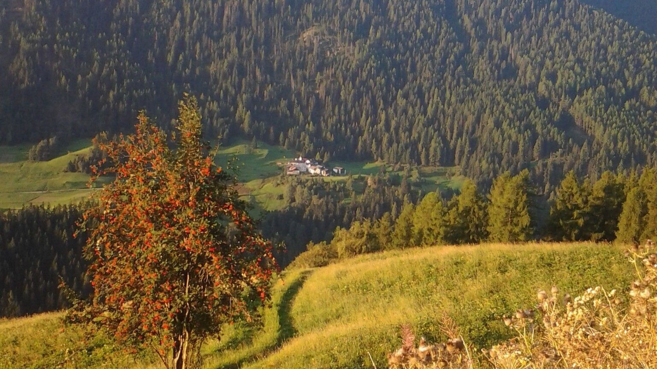 Photo of Others in Ardez