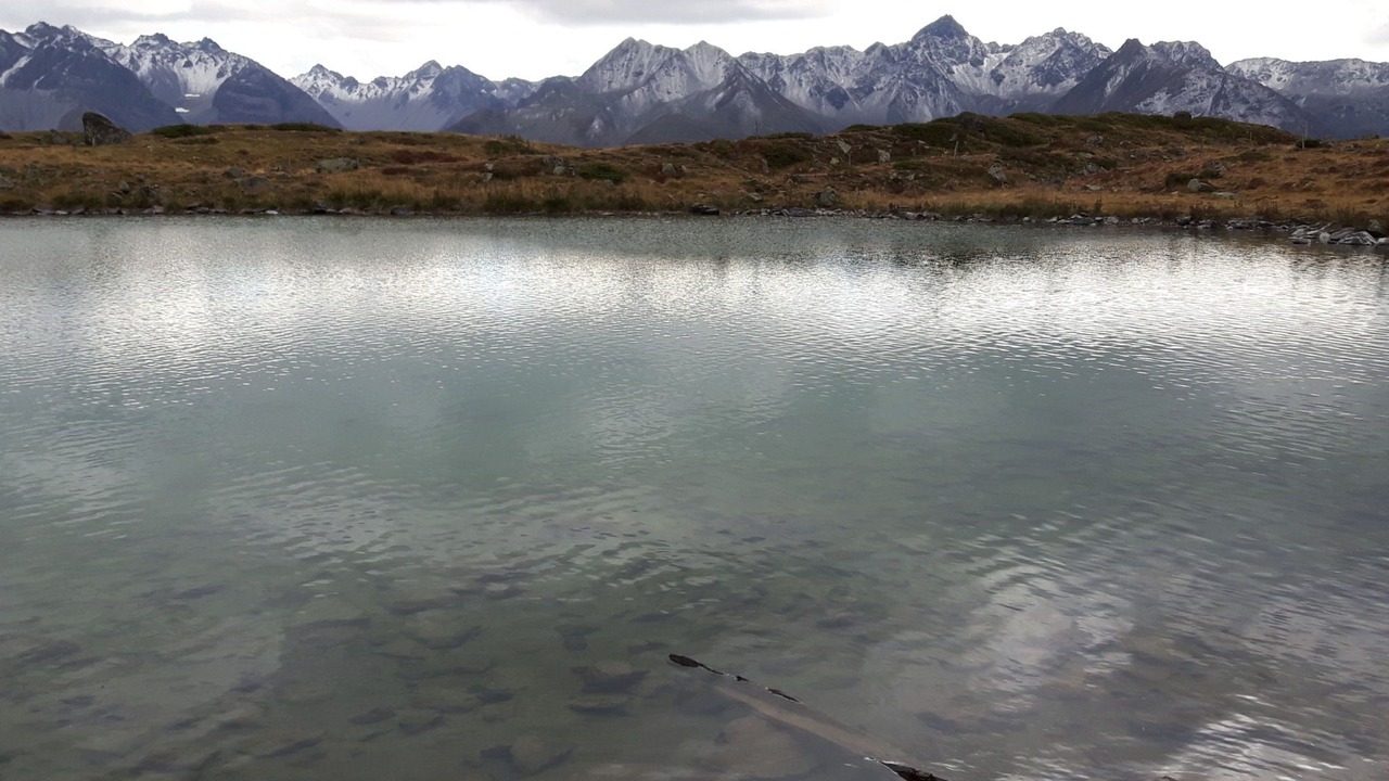 Photo of Others in Ardez