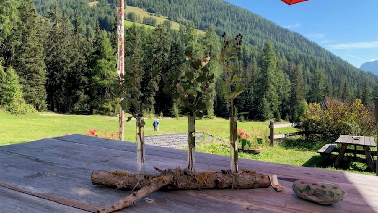 Photo of Others in Engadin Scoul