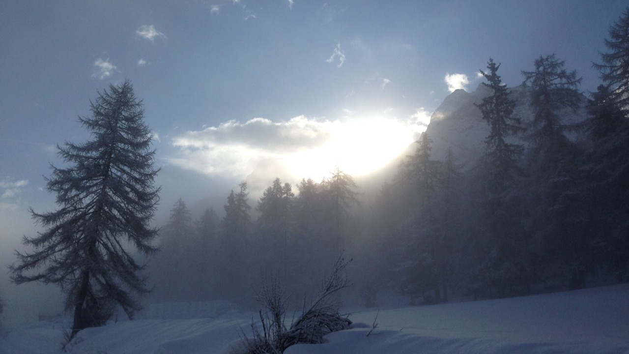 Photo of Others in Engadin Scoul