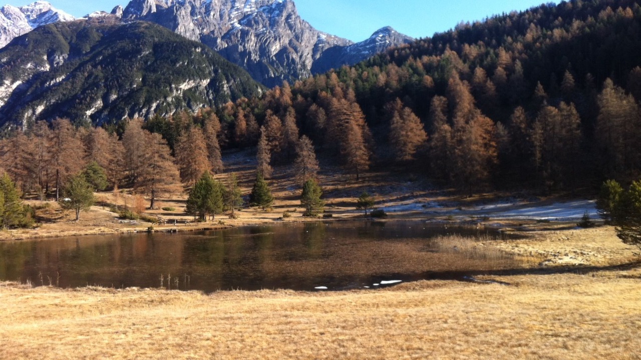 Photo of Others in Engadin Scoul