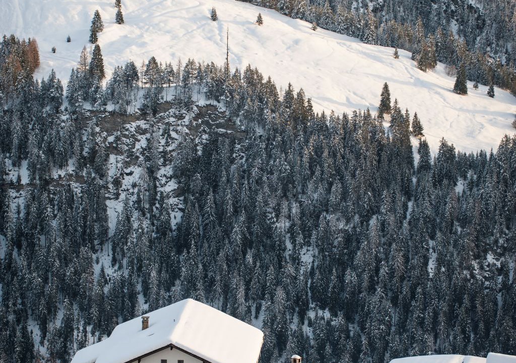Photo of Others in Tschlin