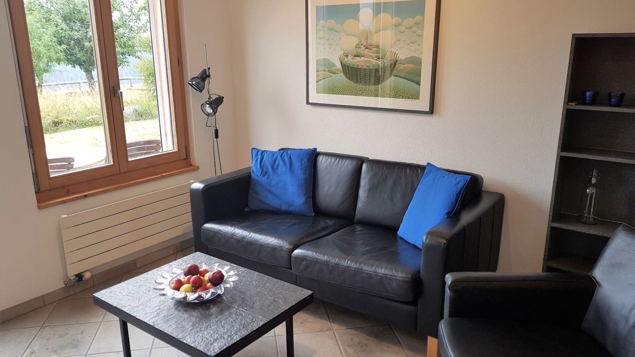 Photo of Livingroom in Engadin Scoul