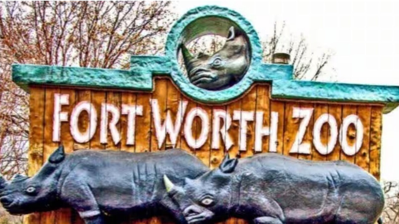 Photo of Others in Central Arlington