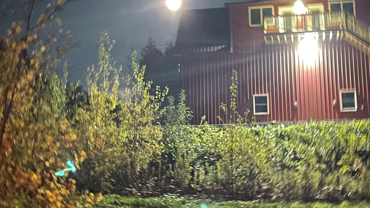 Photo of Outdoor in Presque Isle