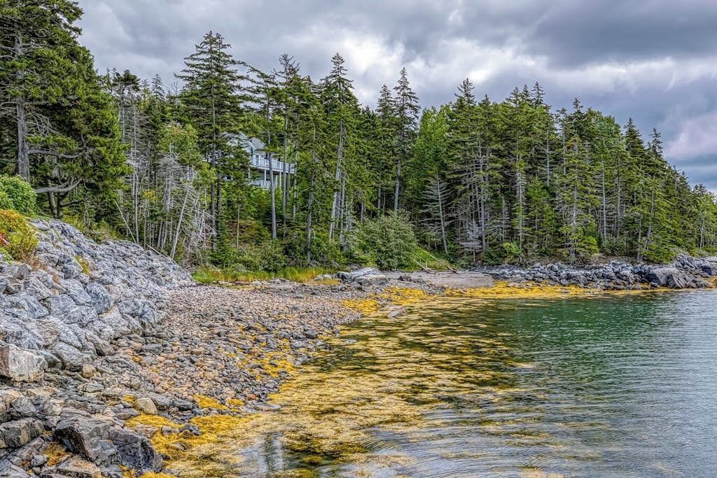Photo of Others in Seal Cove