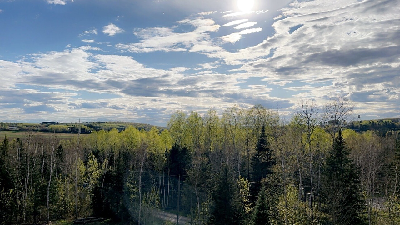 Photo of Others in Presque Isle