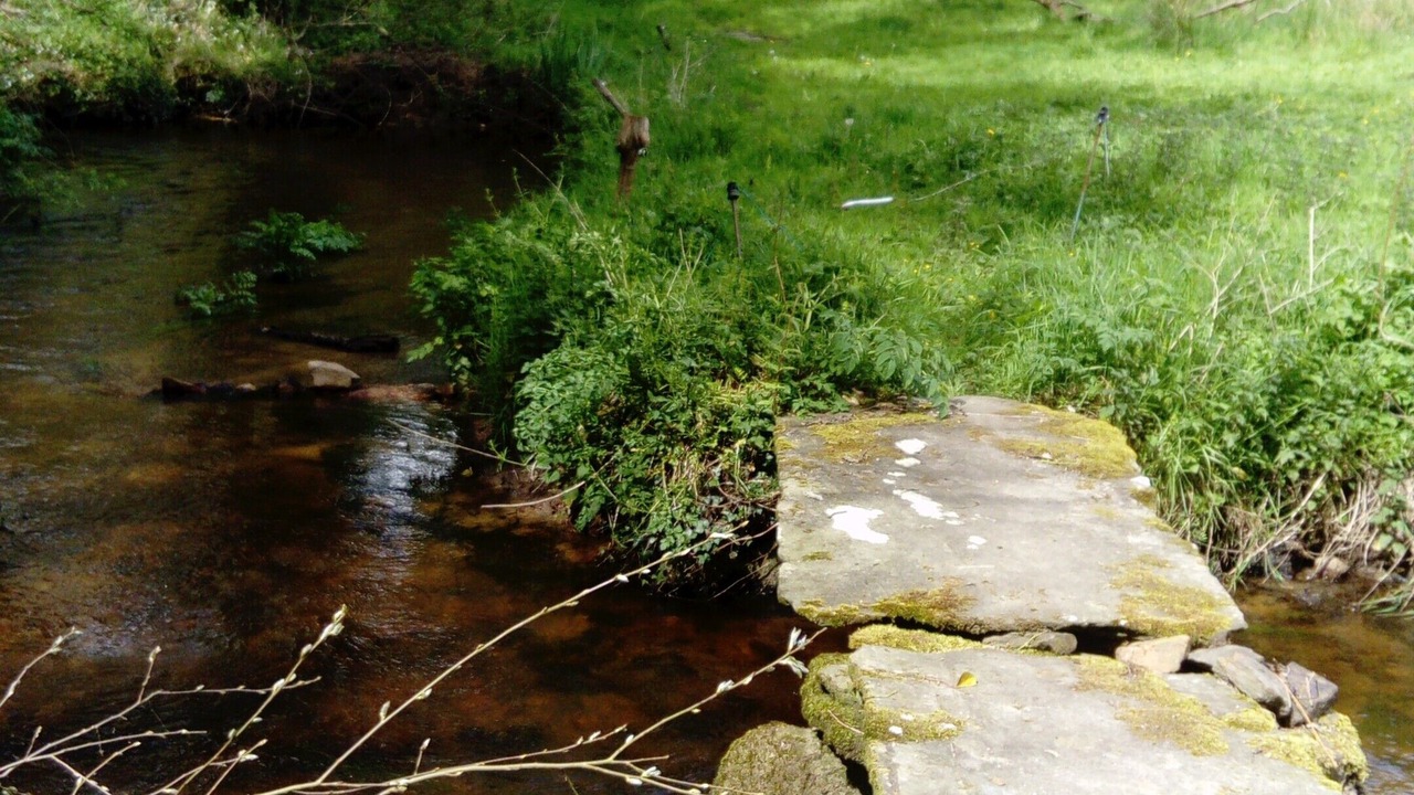 Photo of Others in Plougonven