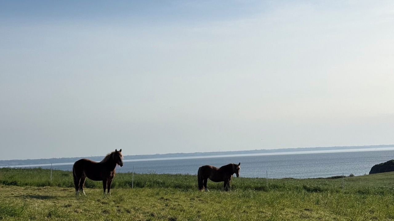 Photo of Others in Saint-Nic