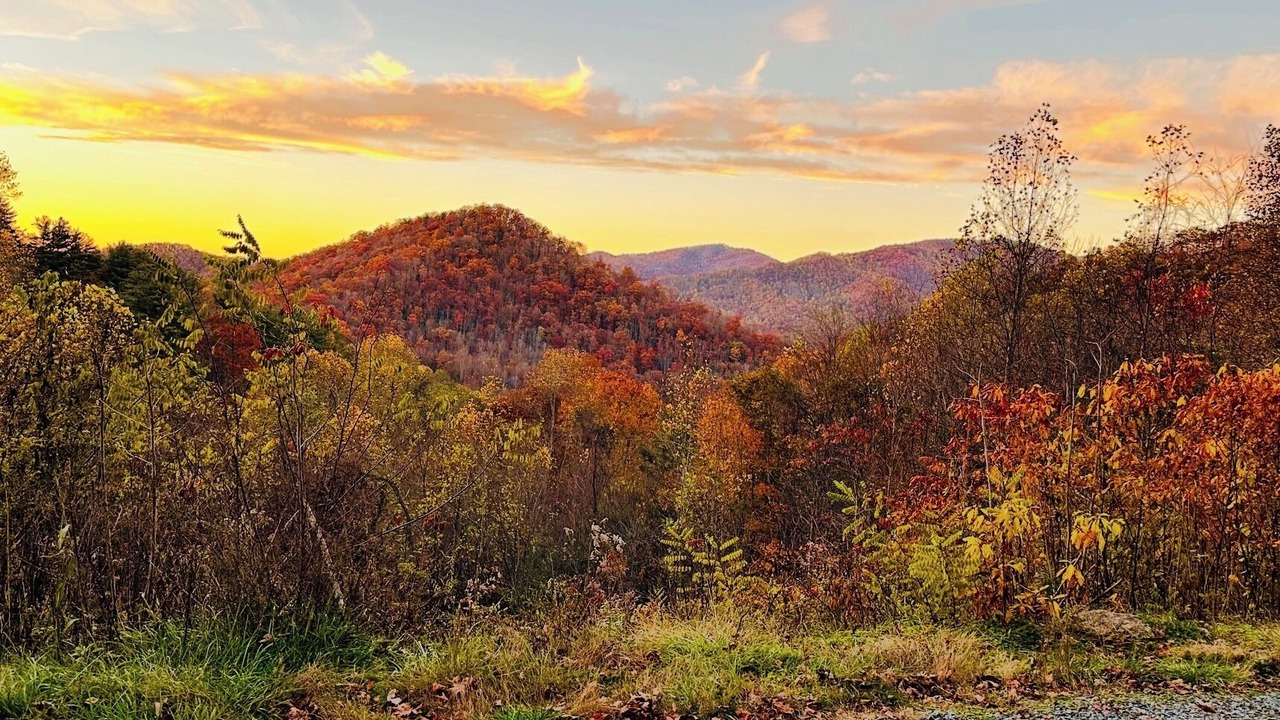 Photo of Others in Bryson City