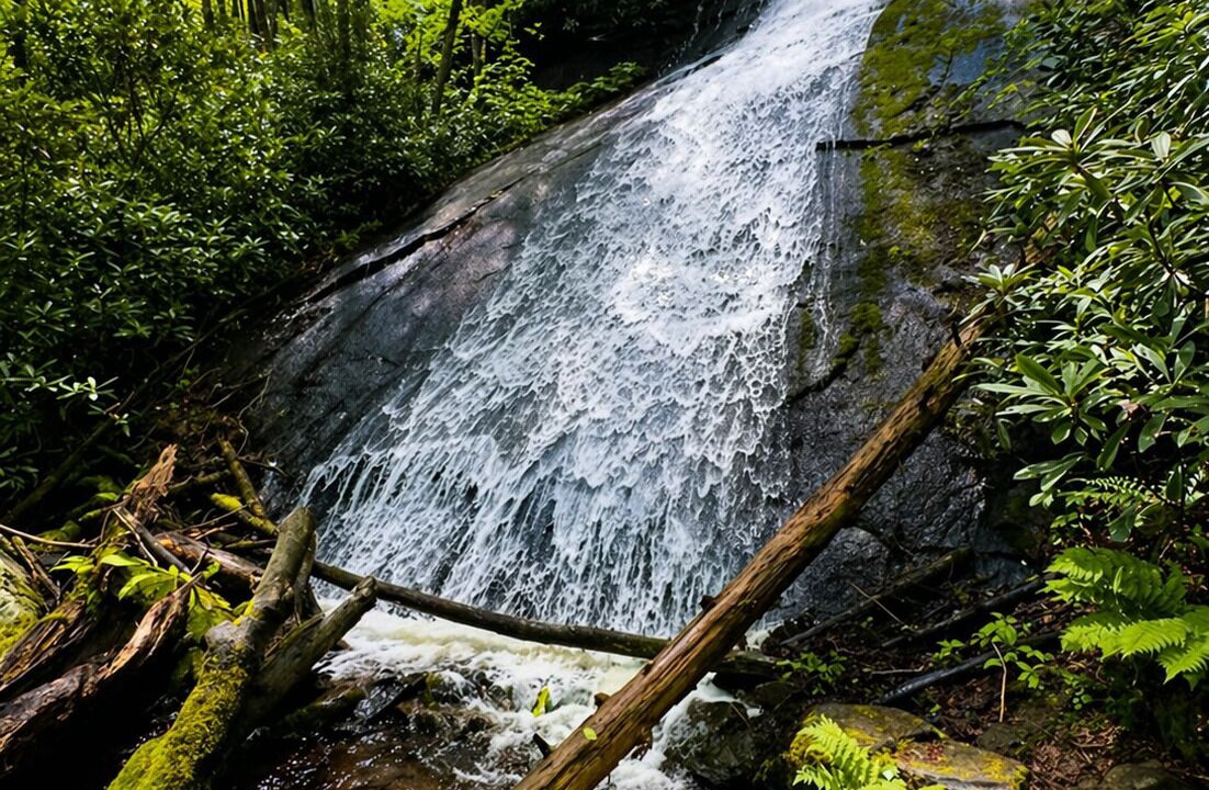 Photo of Others in Bryson City