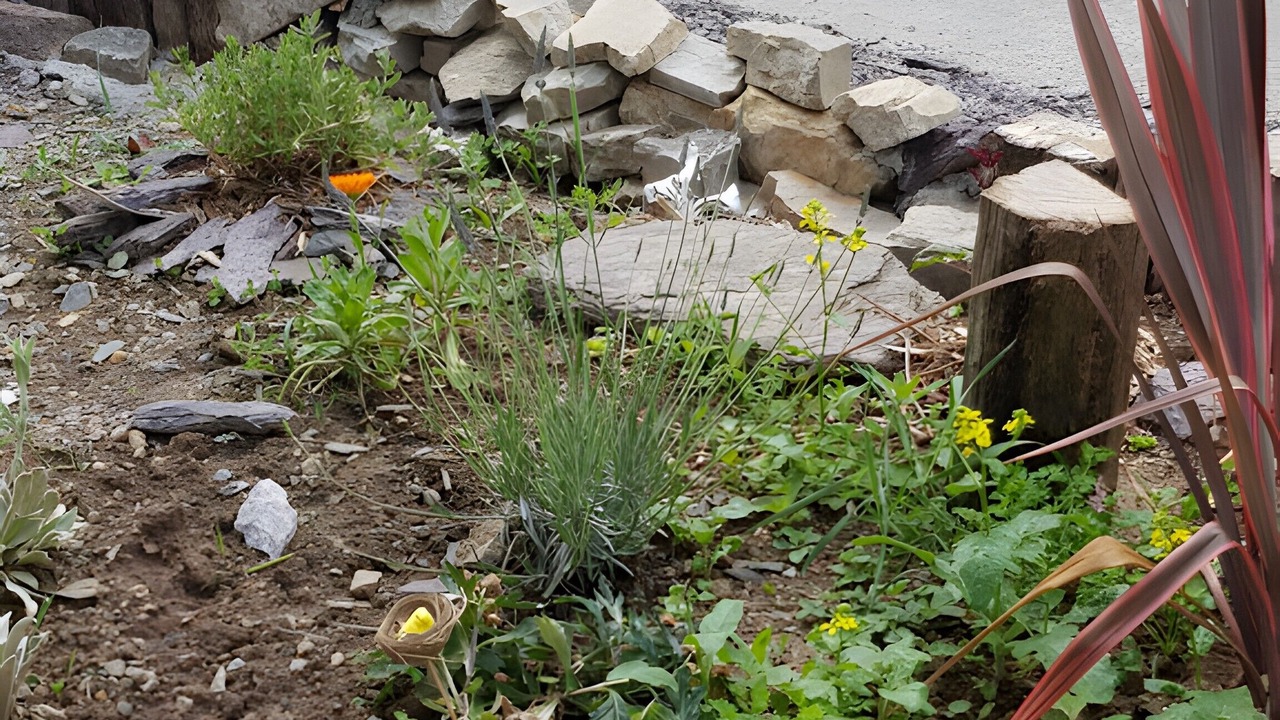Photo of Outdoor in Laille