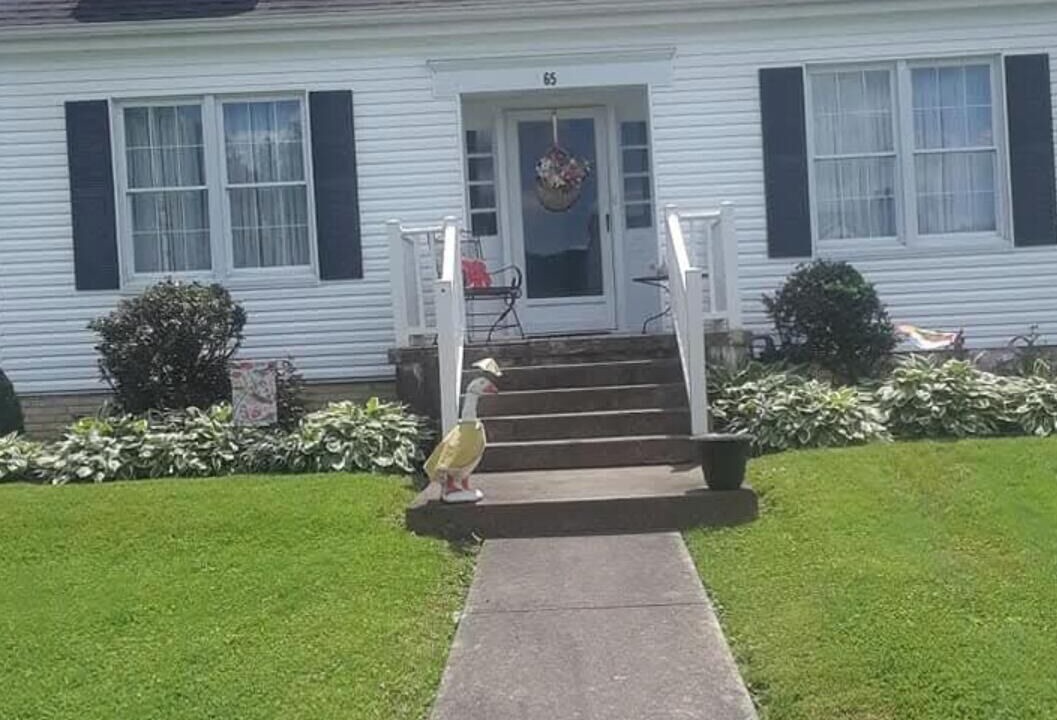 Photo of Outdoor in Maysville