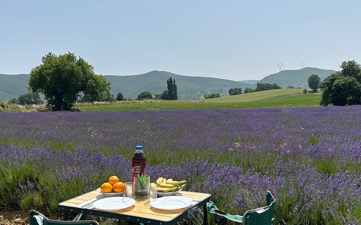 Photo of Outdoor in Saint-Symphorien-sous-Chomerac