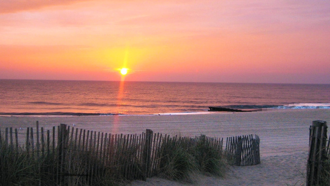 Photo of Others in Rehoboth Beach