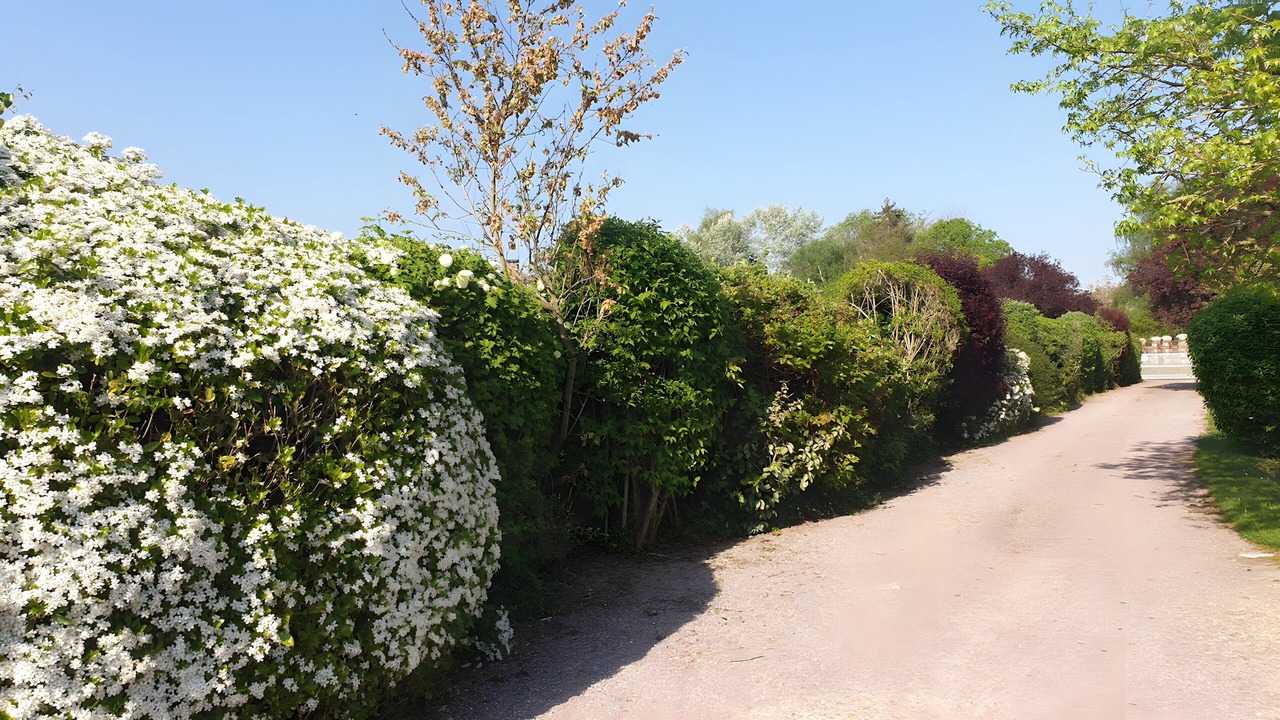 Photo of Outdoor in Fatouville-Grestain