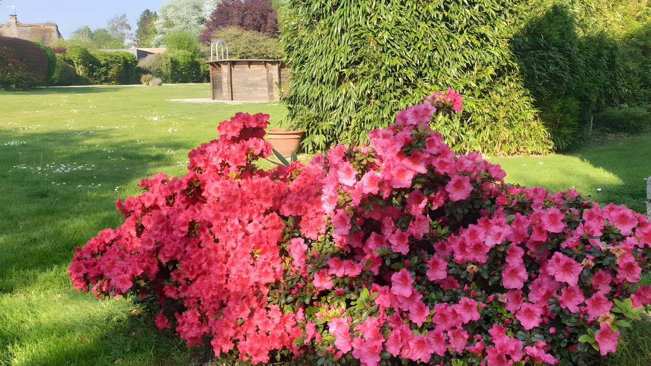 Photo of Outdoor in Fatouville-Grestain
