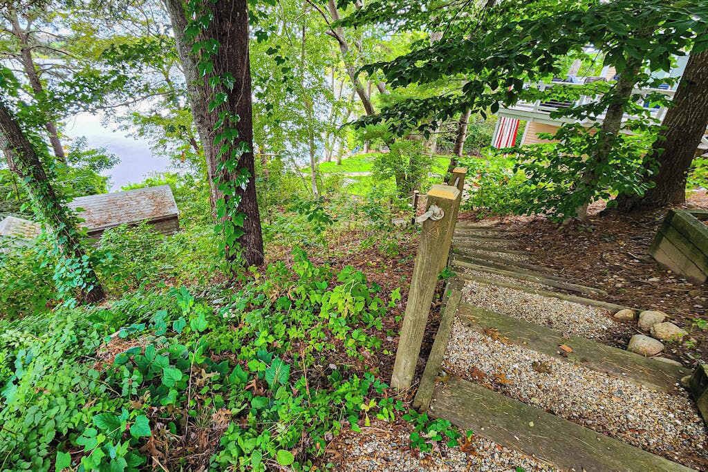 Photo of Outdoor in Centerville