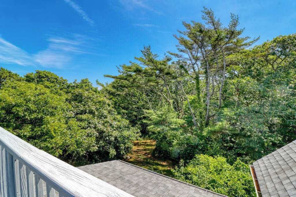 Photo of Outdoor in Aquinnah