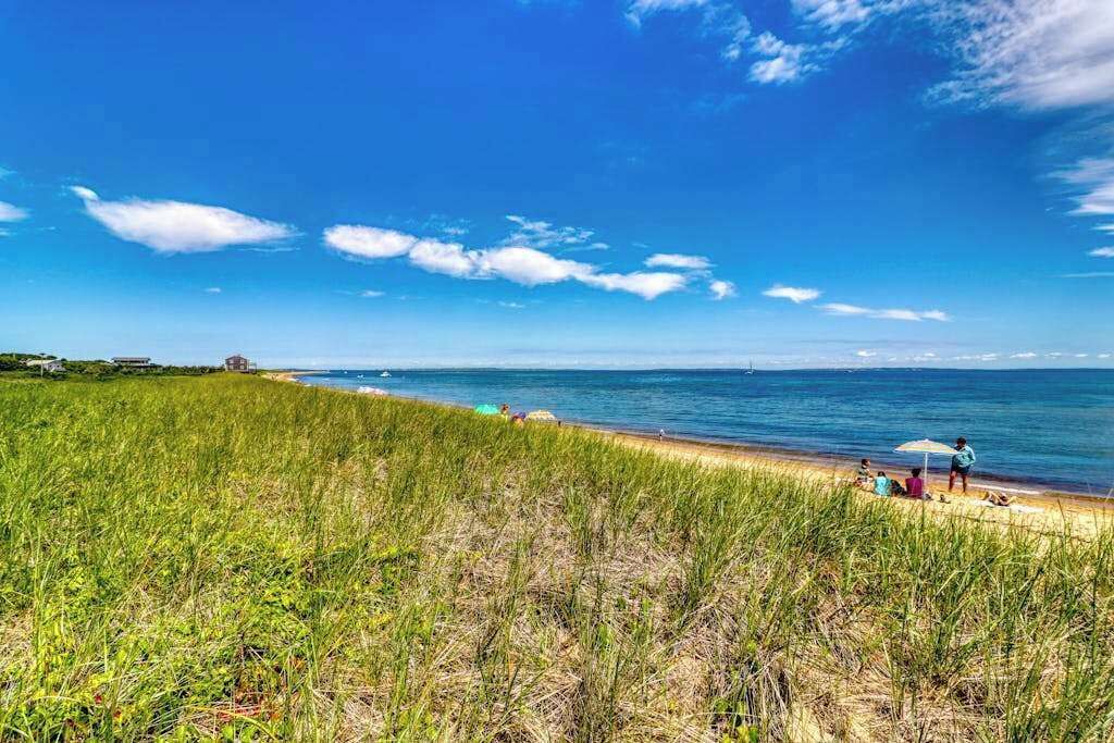 Photo of Others in Aquinnah