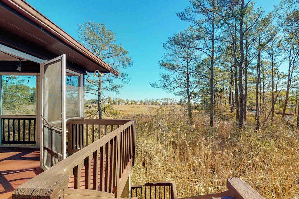 Photo of Outdoor in Cat Hill