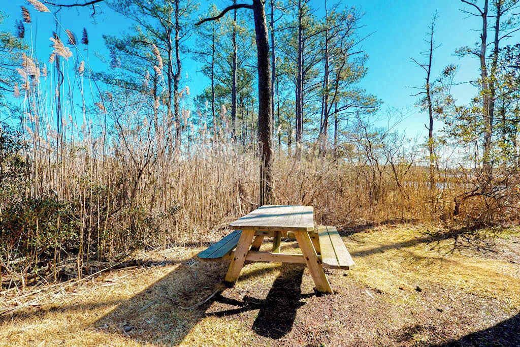 Photo of Outdoor in Cat Hill