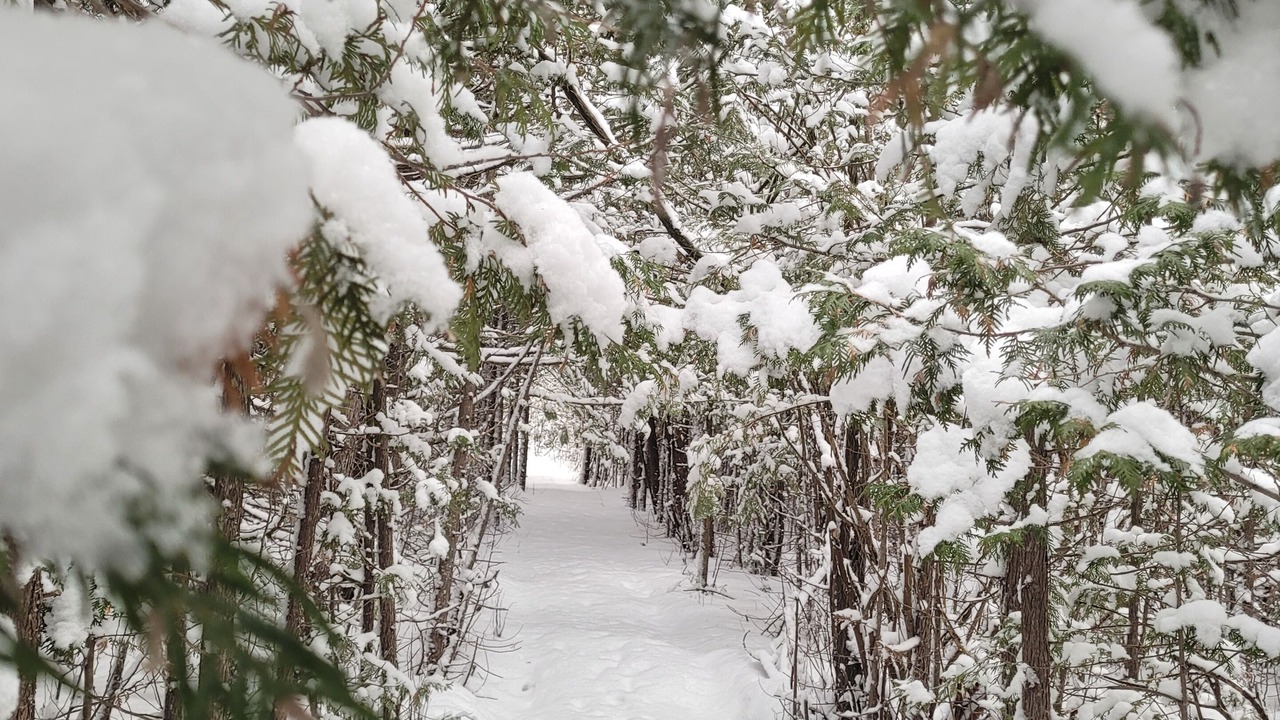 Photo of Others in Otonabee-South Monaghan