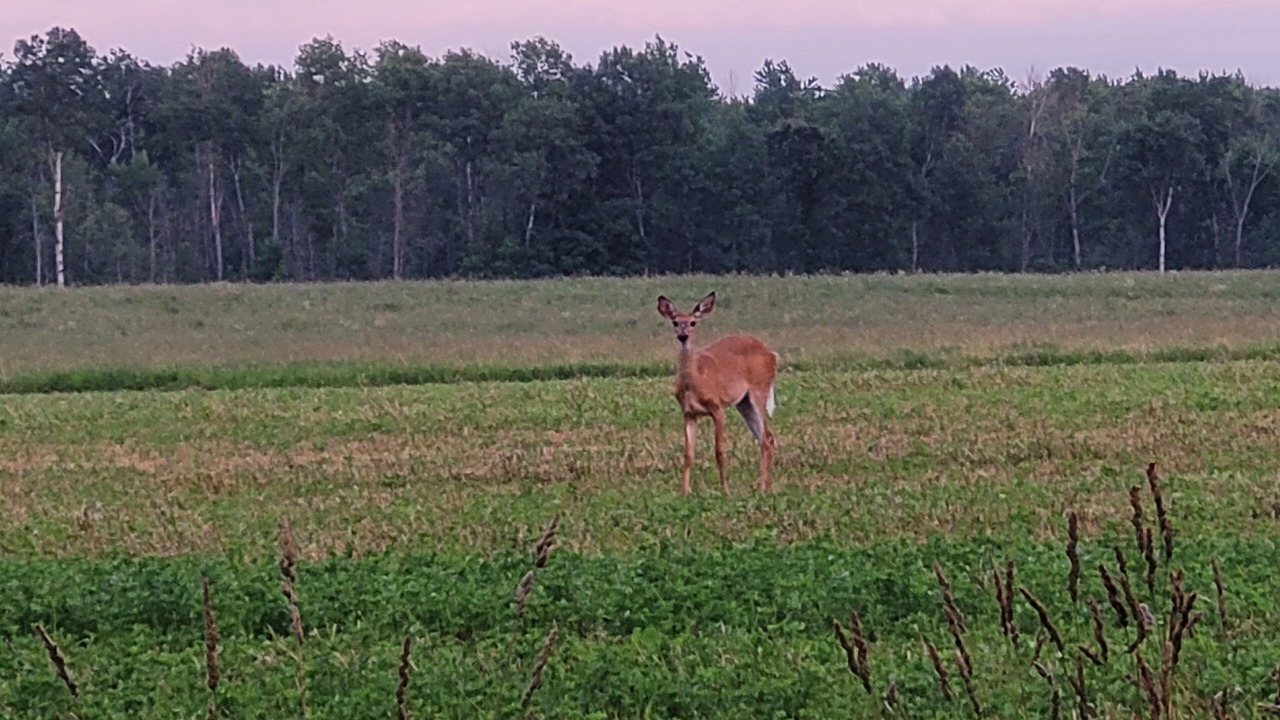 Photo of Others in Otonabee-South Monaghan