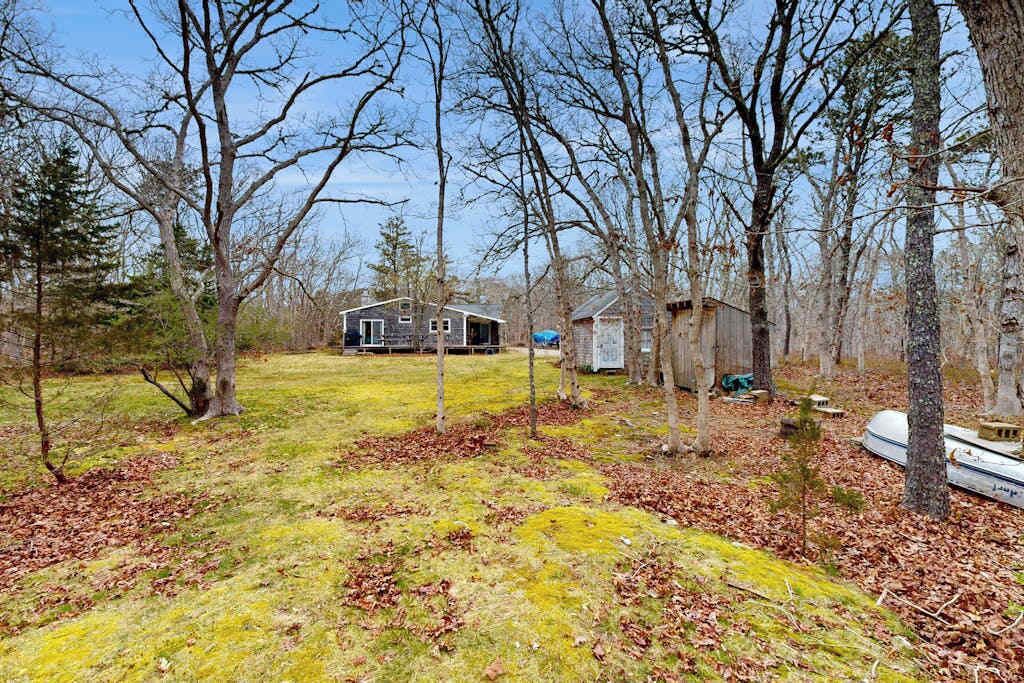 Photo of Outdoor in West Tisbury