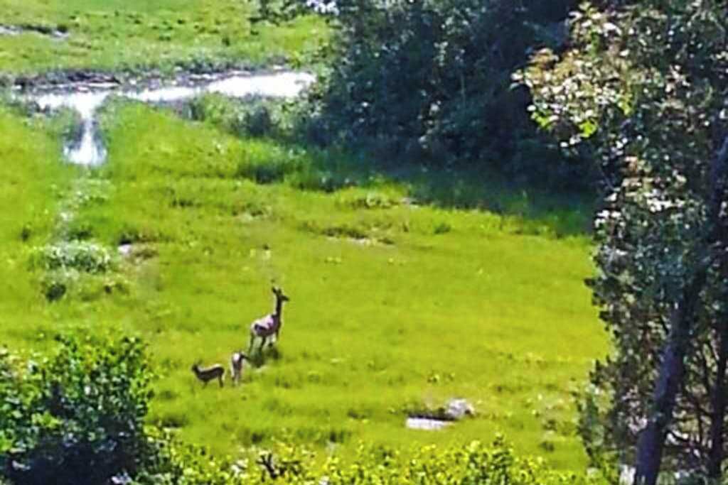 Photo of Others in Pocasset