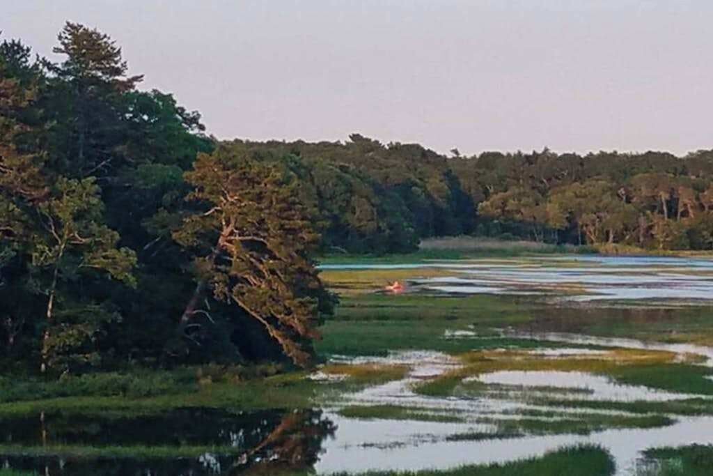 Photo of Others in Pocasset