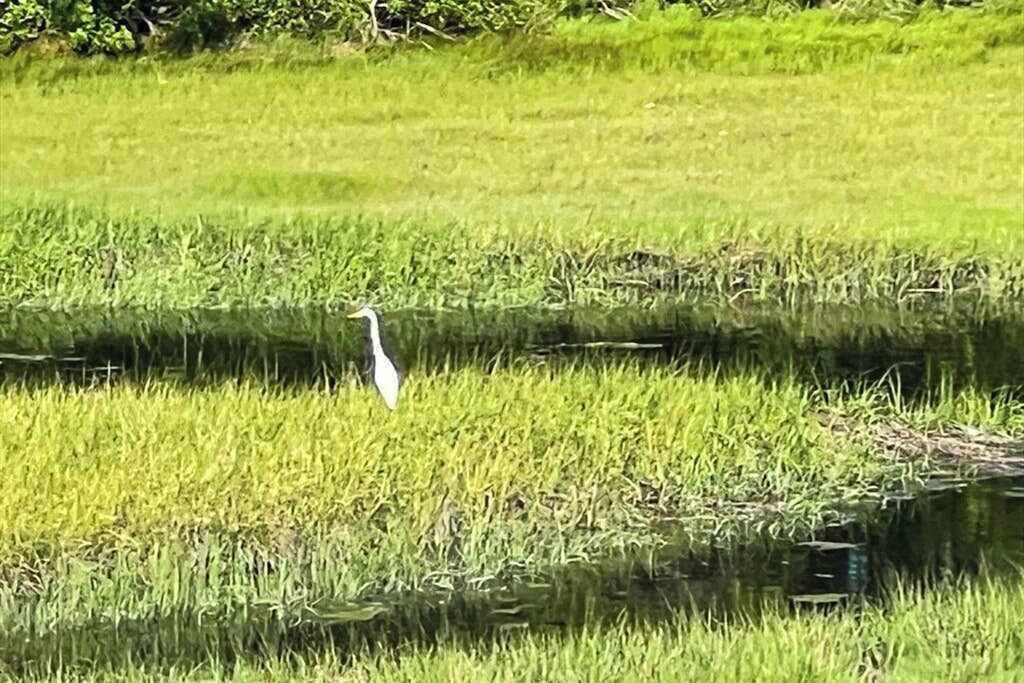 Photo of Others in Pocasset