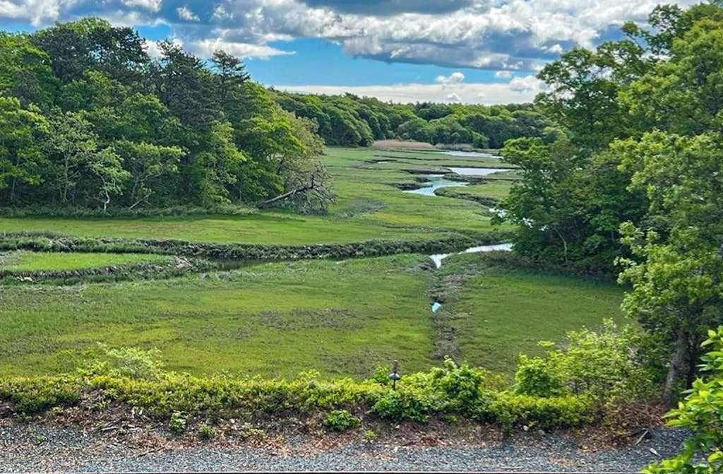 Photo of Others in Pocasset