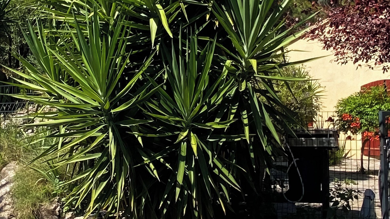 Photo of Outdoor in Nebian