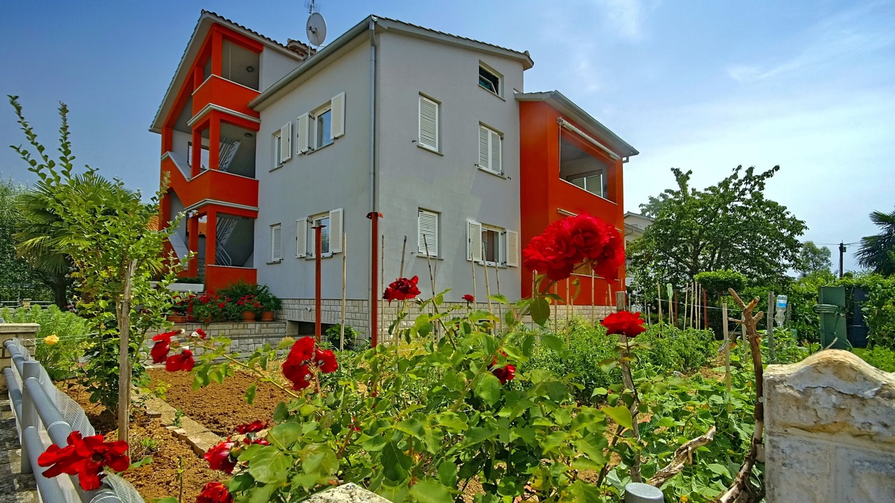 Photo of Outdoor in Murine