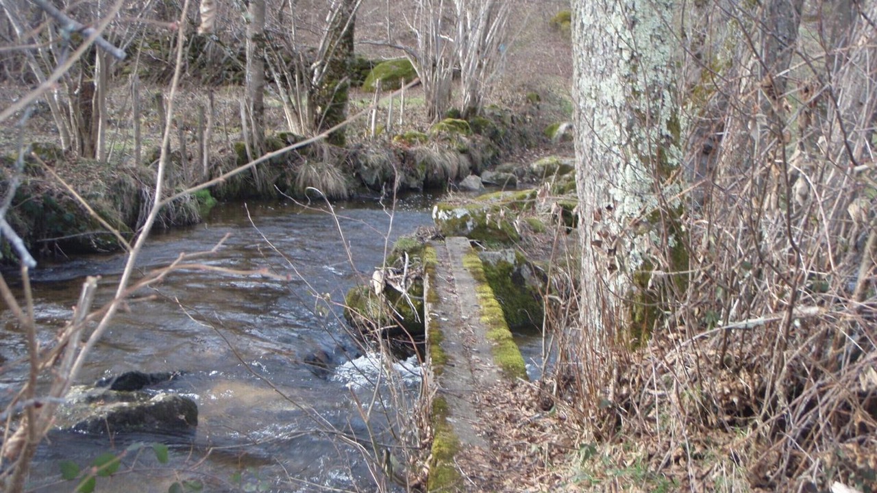 Photo of Others in Saint-Julien-la-Vetre