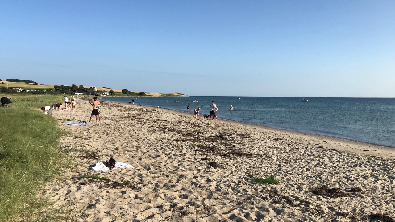 Photo of Others in Skødshoved Strand