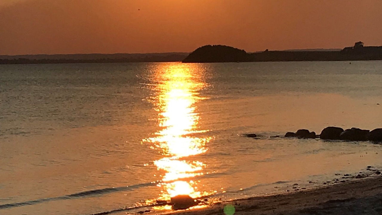 Photo of Others in Skødshoved Strand