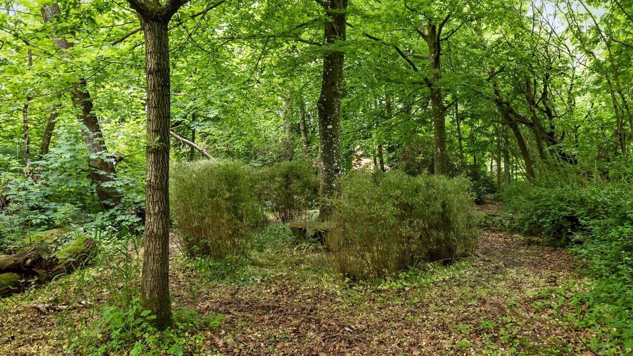 Photo of Others in Ronbjerg
