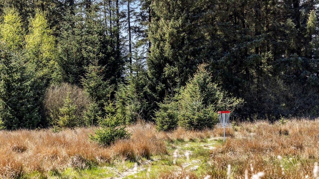 Photo of Others in Brovst