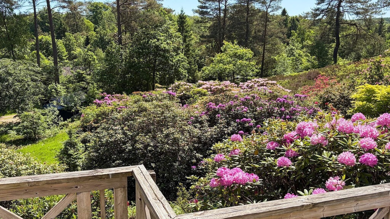 Photo of Outdoor in Silkeborg