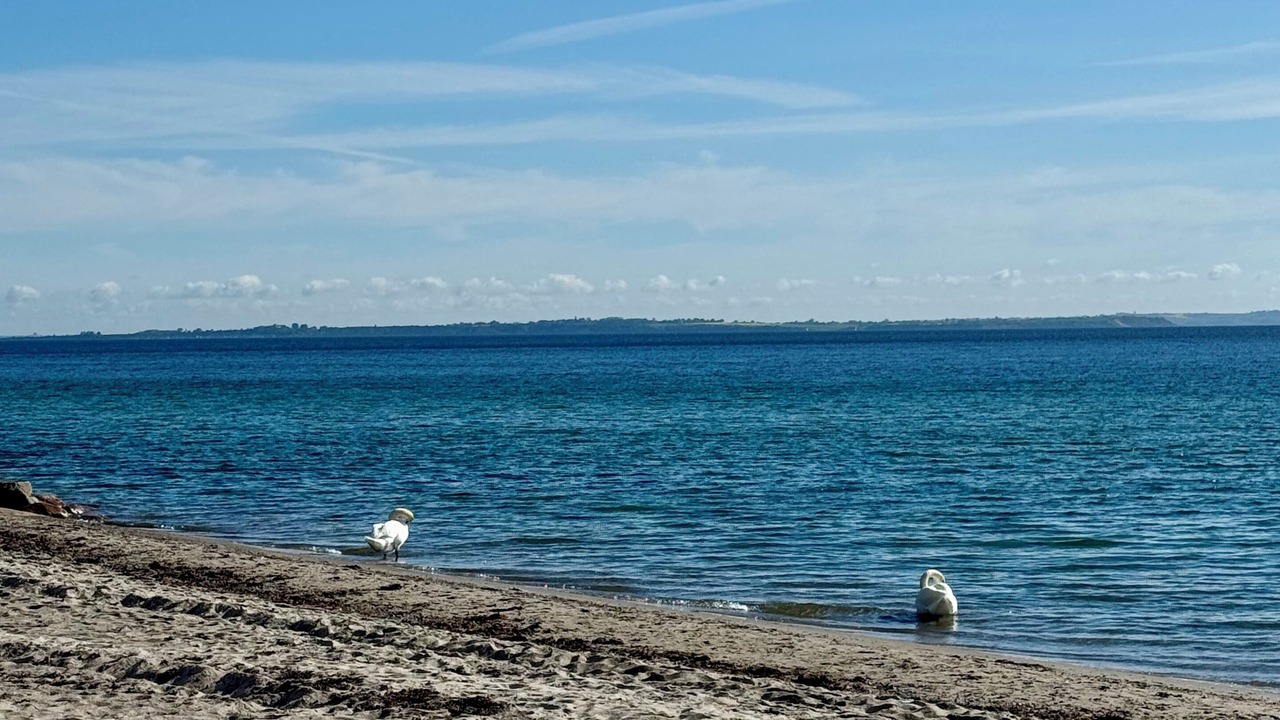 Photo of Others in Skodsborg