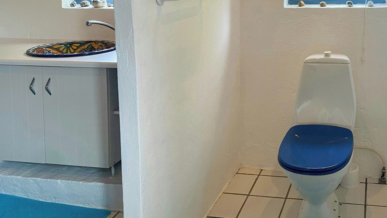 Photo of Bathroom in Fur