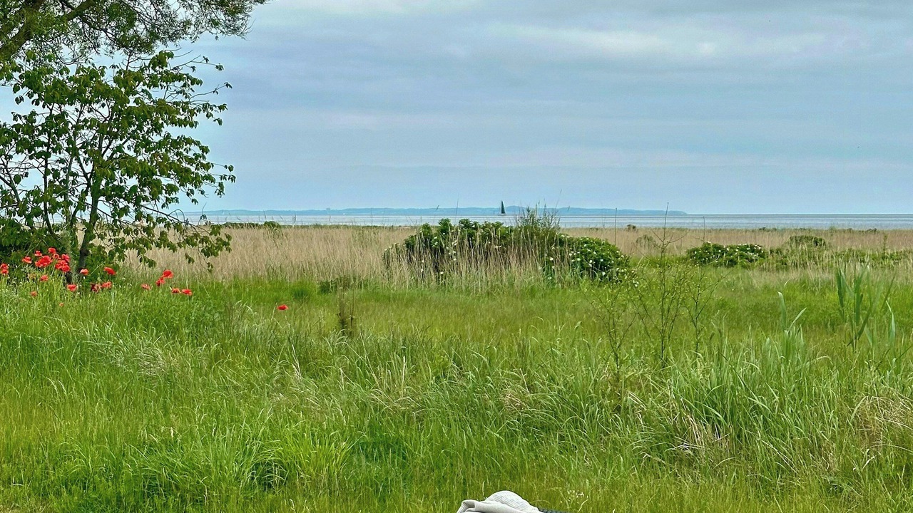 Photo of Outdoor in Beder Malling