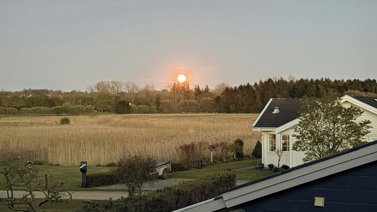 Photo of Others in Vejlby Fed