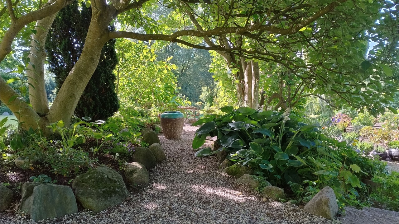 Photo of Outdoor in Skygge
