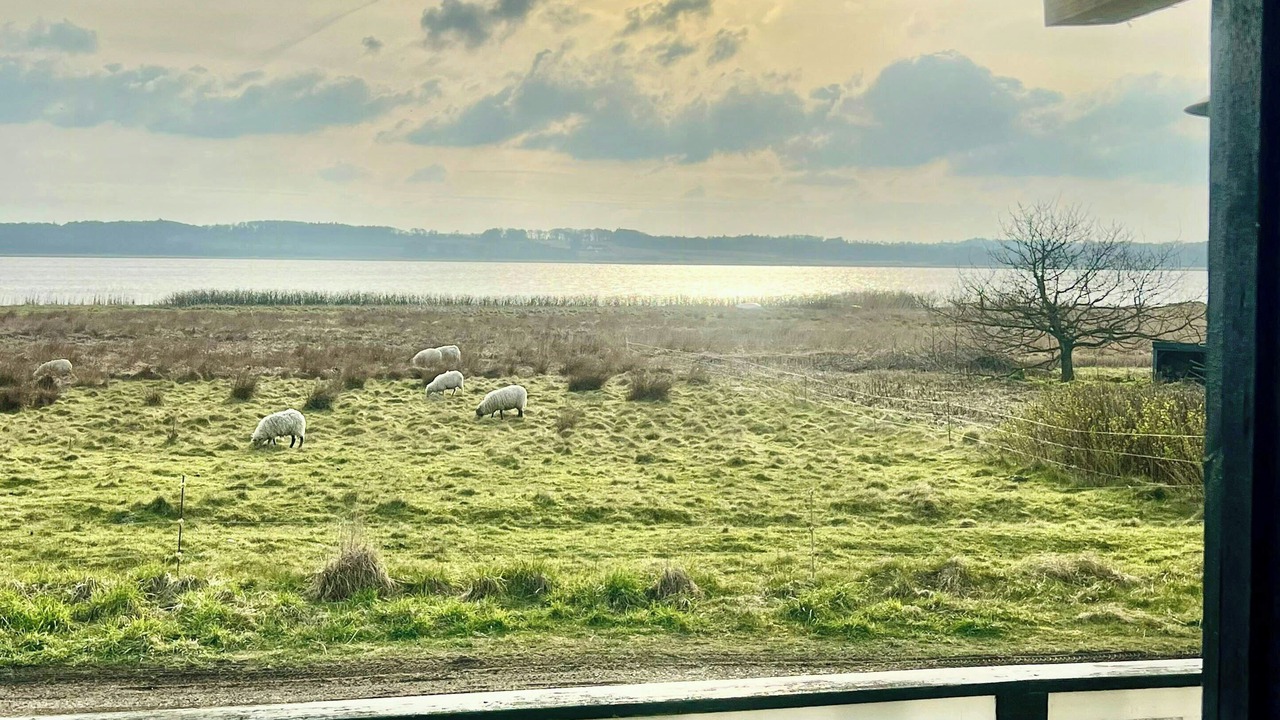 Photo of Outdoor in Nibe