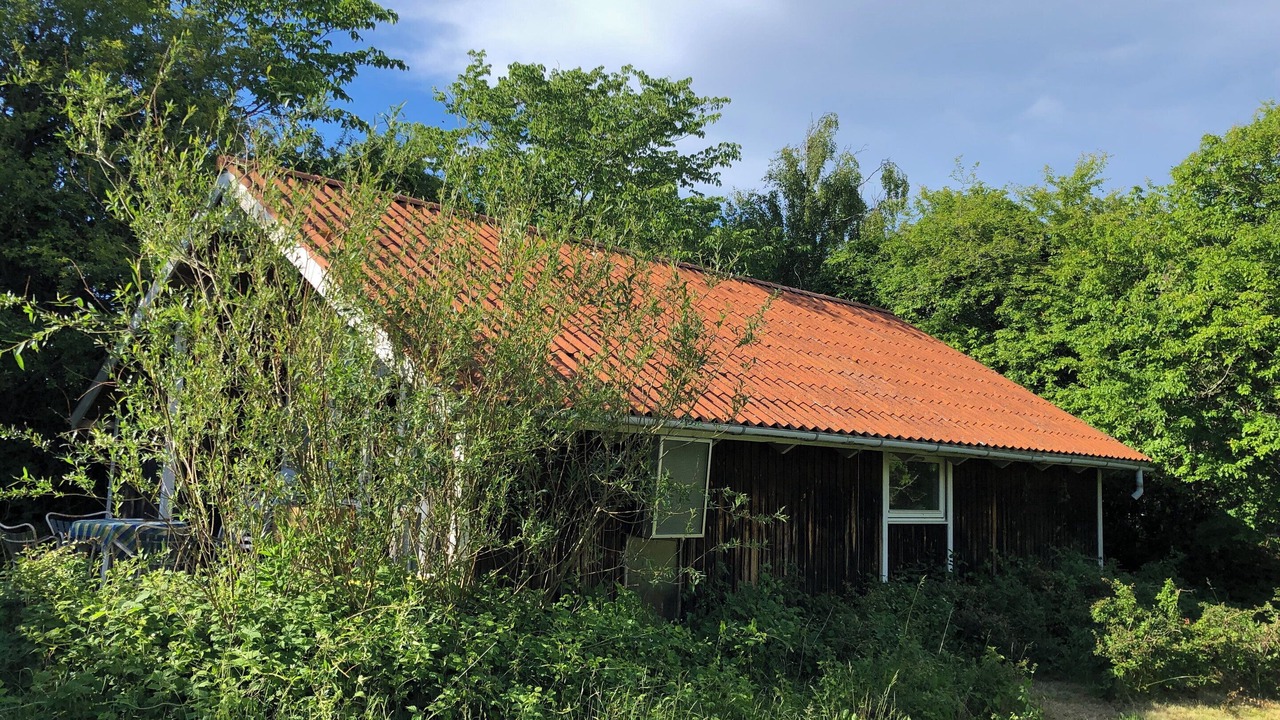 Photo of Others in Holloselund